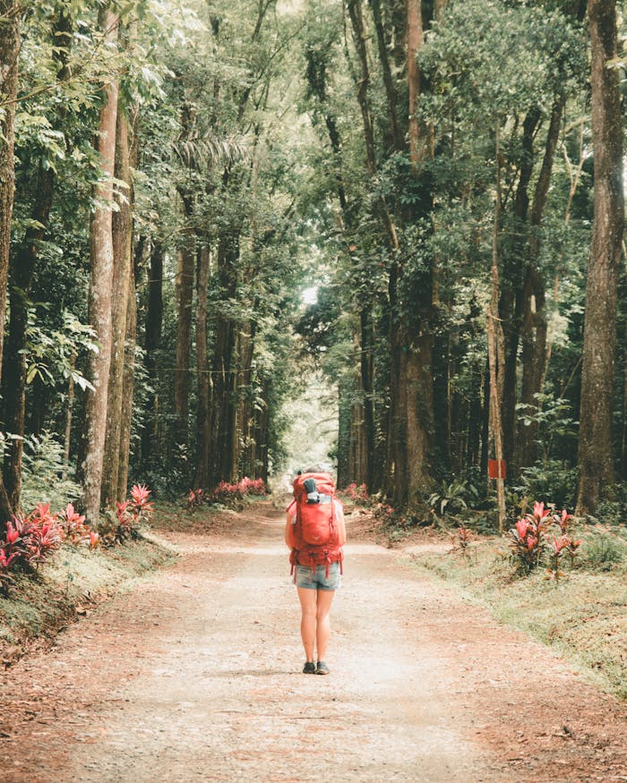 services-03 Woman hiking through a forest path, surrounded by lush greenery and tall trees.